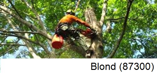 Entreprise du paysage Blond-87300