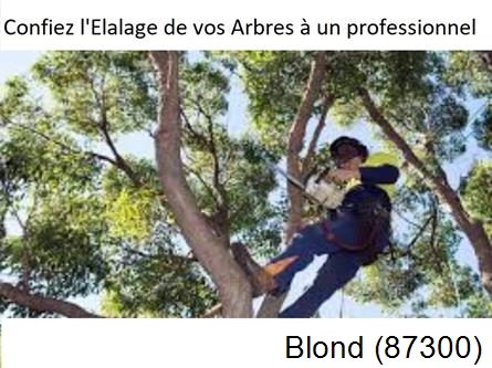 Société d'élagage à Blond-87300