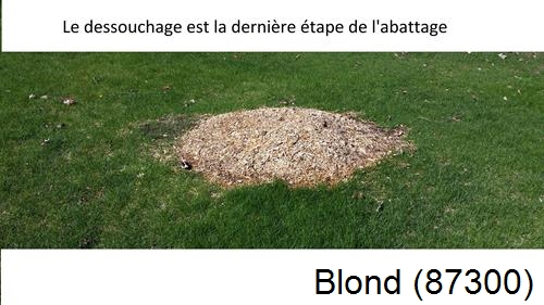 déssouchage d'arbres Blond-87300