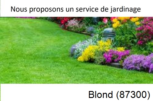 Paysagiste, travaux extérieur Blond-87300