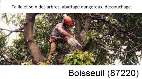 Abattage d'arbres Boisseuil-87220