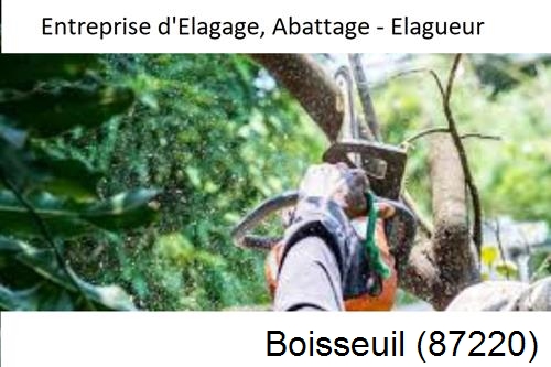 Travaux d'abattage d'arbres à Boisseuil-87220