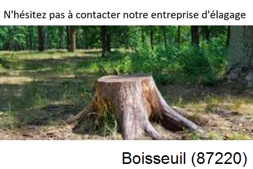 Elagage d'arbres à Boisseuil-87220