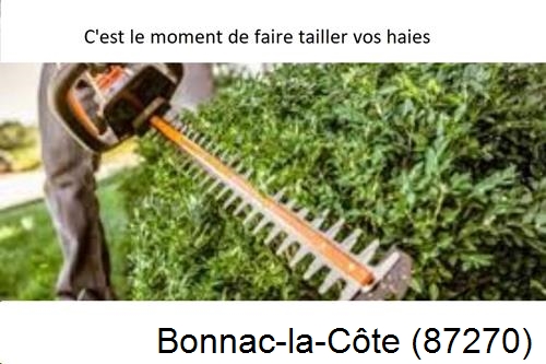 Entreprise de paysage Bonnac-la-Côte-87270