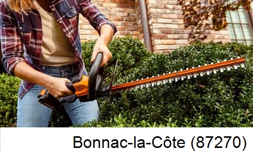 entretien jardin par paysagiste Bonnac-la-Côte-87270