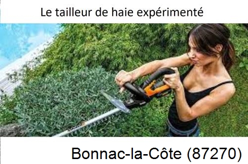 entretien jardin à Bonnac-la-Côte-87270