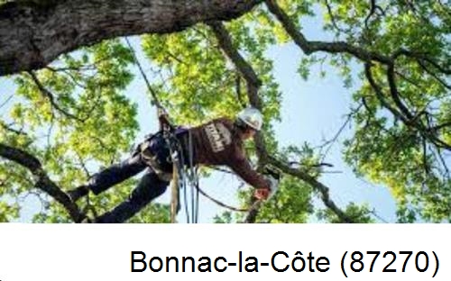 Abattage d'arbres chez un particulier Bonnac-la-Côte-87270