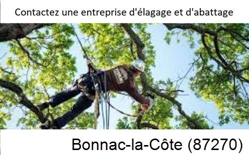 Travaux d'élagage à Bonnac-la-Côte-87270