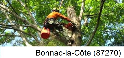 Entreprise du paysage Bonnac-la-Côte-87270