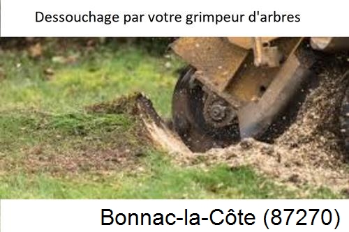 abattage d'arbres à Bonnac-la-Côte-87270
