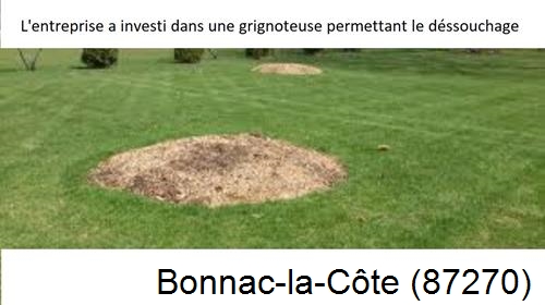 Artisan pour déssouchage d'arbres Bonnac-la-Côte-87270