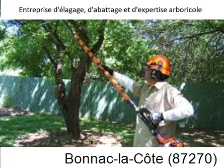 Coupe tête d'arbres Bonnac-la-Côte-87270