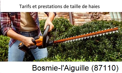 taille de haies Bosmie-l'Aiguille-87110