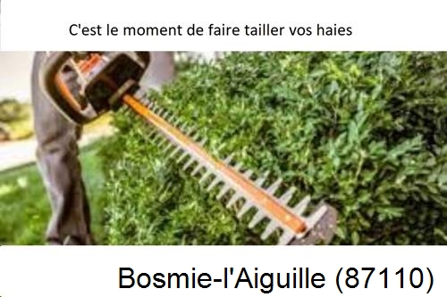 Entreprise de paysage Bosmie-l'Aiguille-87110