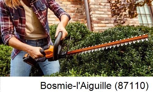 entretien jardin par paysagiste Bosmie-l'Aiguille-87110