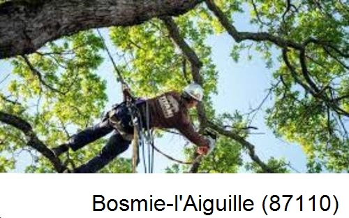 Abattage d'arbres chez un particulier Bosmie-l'Aiguille-87110