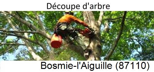 Entreprise du paysage Bosmie-l'Aiguille-87110
