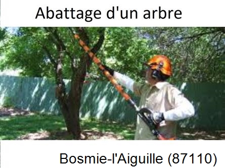 Etêtage et abattage d'un arbre Bosmie-l'Aiguille-87110