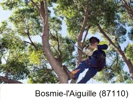Elagueur à Bosmie-l'Aiguille-87110