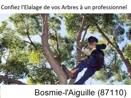 Société d'élagage à Bosmie-l'Aiguille-87110