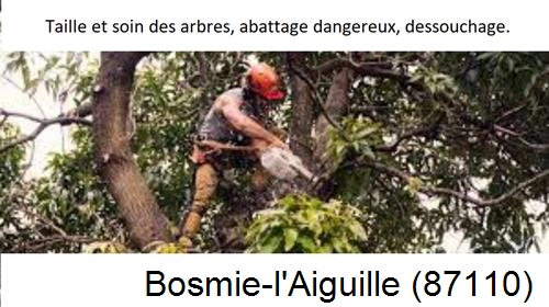 Abattage d'arbres Bosmie-l'Aiguille-87110