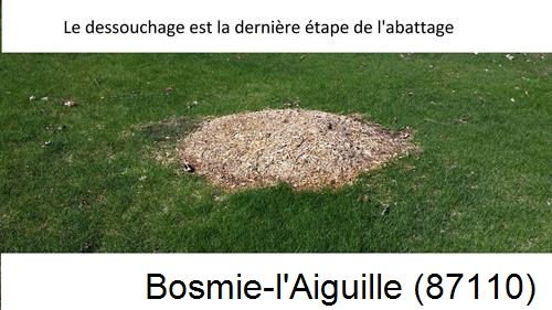 déssouchage d'arbres Bosmie-l'Aiguille-87110