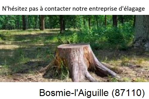 Elagage d'arbres à Bosmie-l'Aiguille-87110