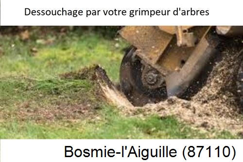 abattage d'arbres à Bosmie-l'Aiguille-87110