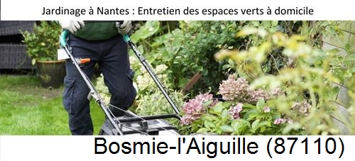 Travaux d'entretien exterieur Bosmie-l'Aiguille-87110