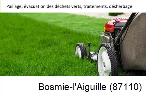 Entreprise de paysage pour entretien de jardin Bosmie-l'Aiguille-87110