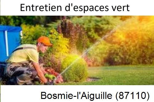 Aménagement extérieur à Bosmie-l'Aiguille-87110