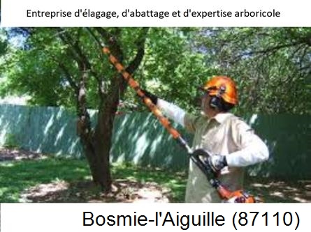 Coupe tête d'arbres Bosmie-l'Aiguille-87110
