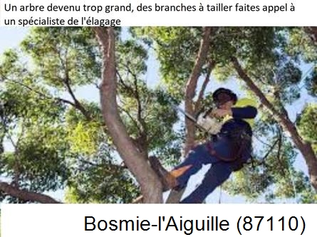 Elagueur qualifié à Bosmie-l'Aiguille-87110