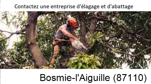 Entreprise d'élagage à Bosmie-l'Aiguille-87110