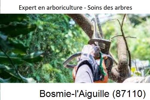 Elagage en sécurité à Bosmie-l'Aiguille-87110