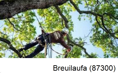 Abattage d'arbres chez un particulier Breuilaufa-87300