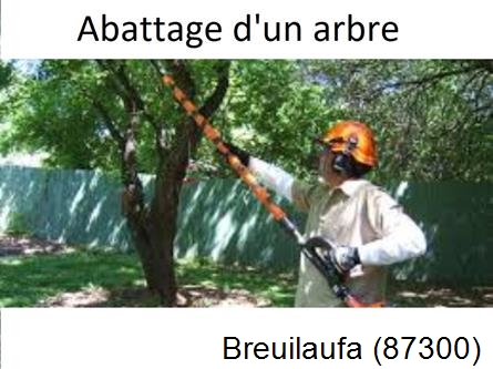 Etêtage et abattage d'un arbre Breuilaufa-87300