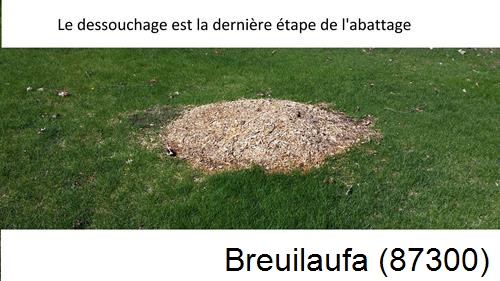 déssouchage d'arbres Breuilaufa-87300