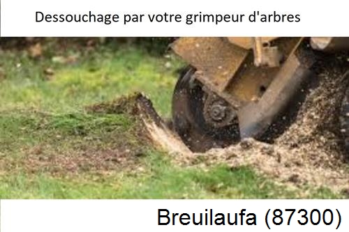 abattage d'arbres à Breuilaufa-87300