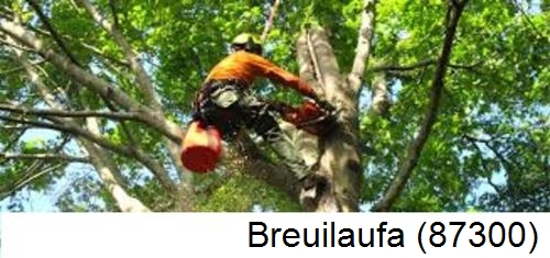 Déssouchage, étêtage d'arbres Breuilaufa-87300