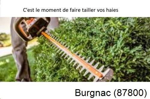 Entreprise de paysage Burgnac-87800