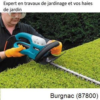 Taille et entretien jardin Burgnac-87800