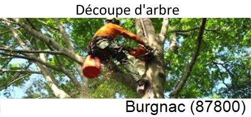 Entreprise du paysage Burgnac-87800
