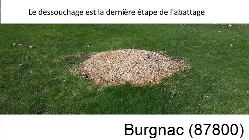 déssouchage d'arbres Burgnac-87800