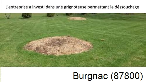 Artisan pour déssouchage d'arbres Burgnac-87800