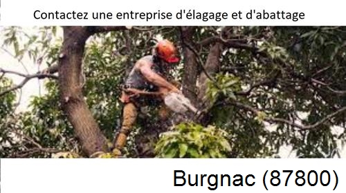 Entreprise d'élagage à Burgnac-87800