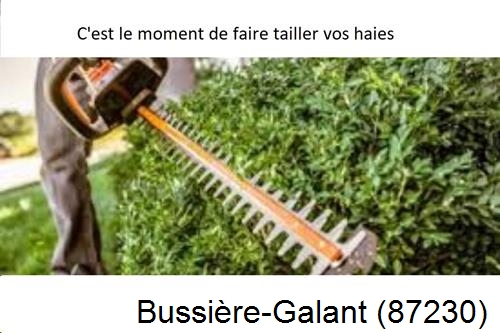 Entreprise de paysage Bussière-Galant-87230
