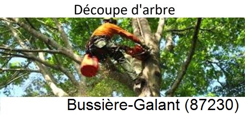 Entreprise du paysage Bussière-Galant-87230