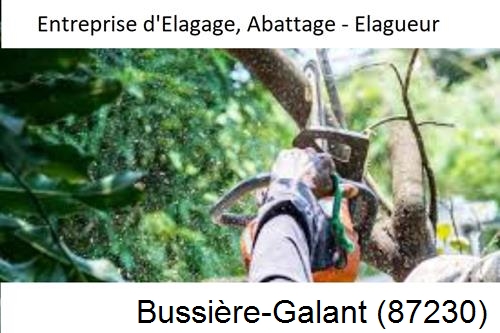 Travaux d'abattage d'arbres à Bussière-Galant-87230