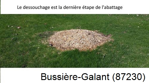 déssouchage d'arbres Bussière-Galant-87230